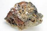 Vanadinite & Wulfenite Crystal Association - Nevada #214824-1